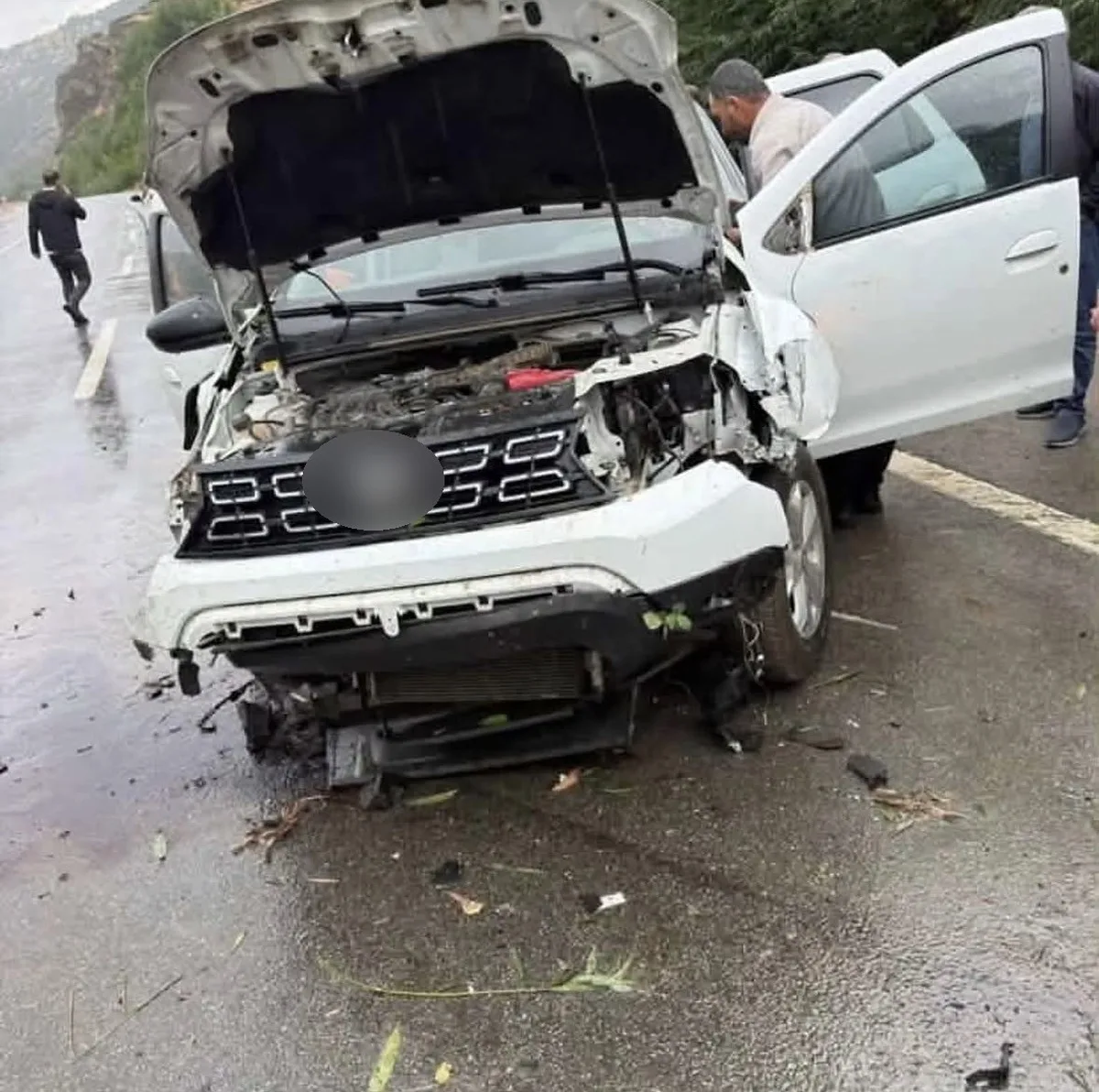 Bingöl'de Trafik Kazası: Otomobil Tabelaya ve Ağaca Çarptı, 2 Kişi Yaralandı