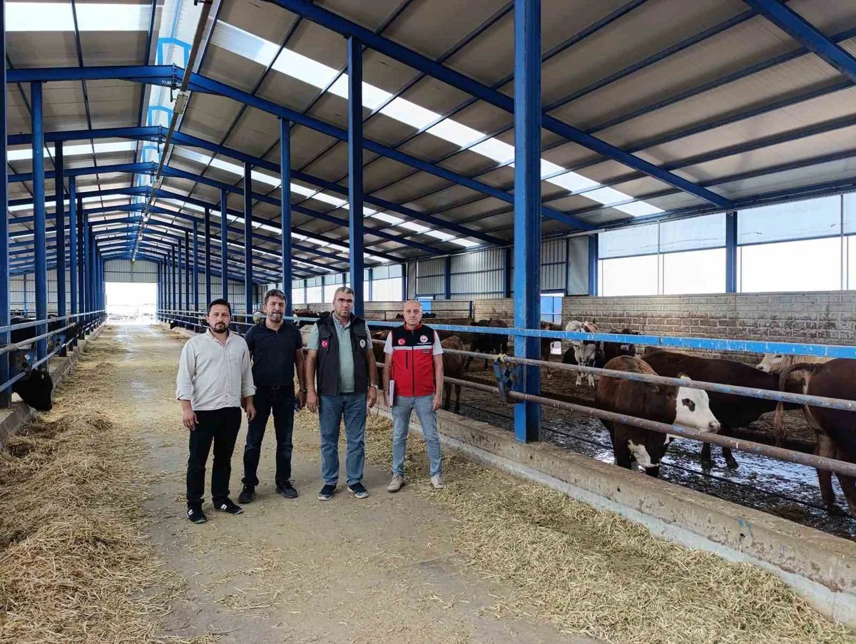 Konya Karapınar’da İthal Besilik Sığır İşletmelerine Yönelik Kapsamlı Denetimler Sürüyor