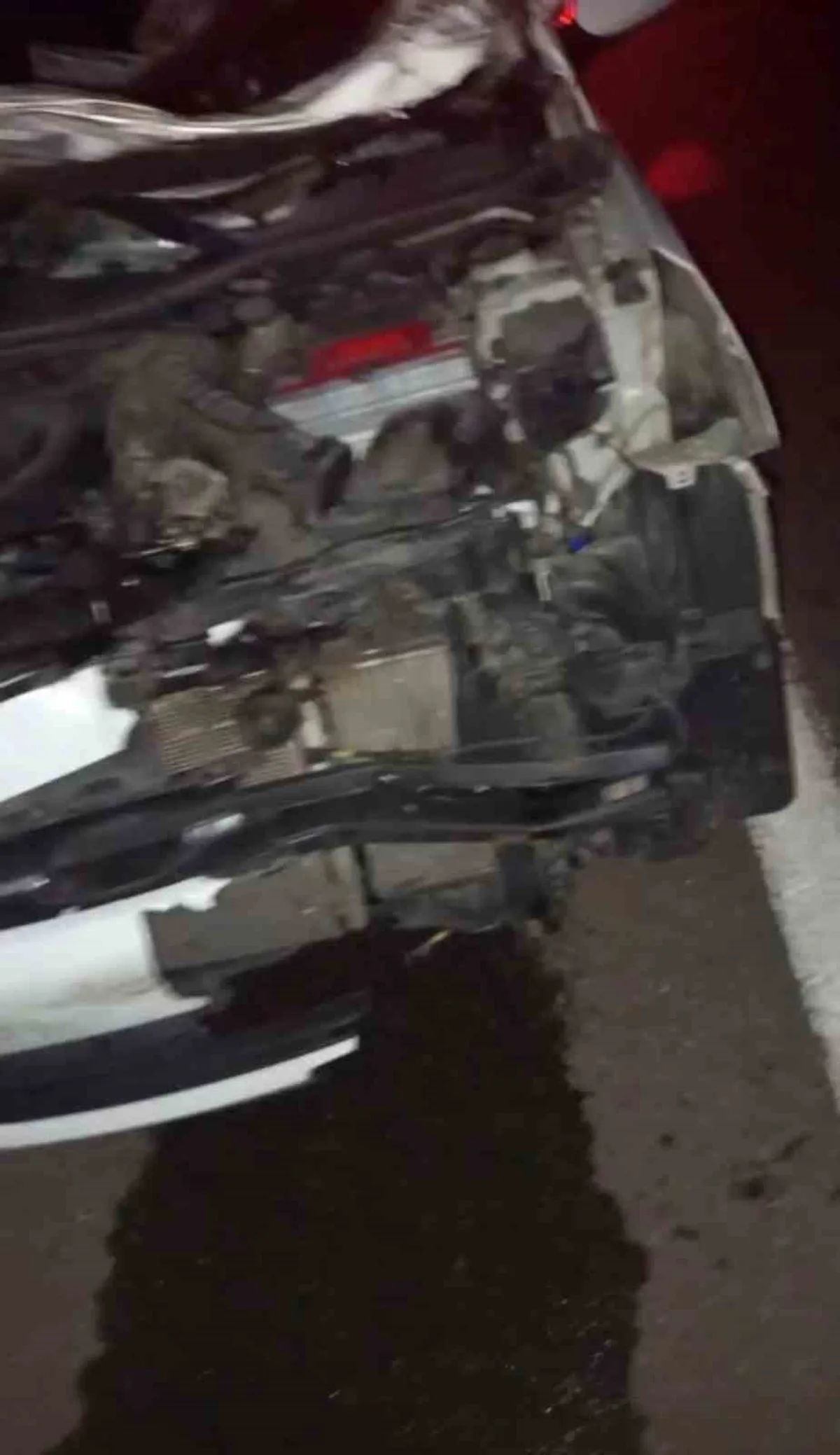 Bingöl'de Otomobilin İneğe Çarptığı Kazada Biri Bebek 4 Kişi Yaralandı