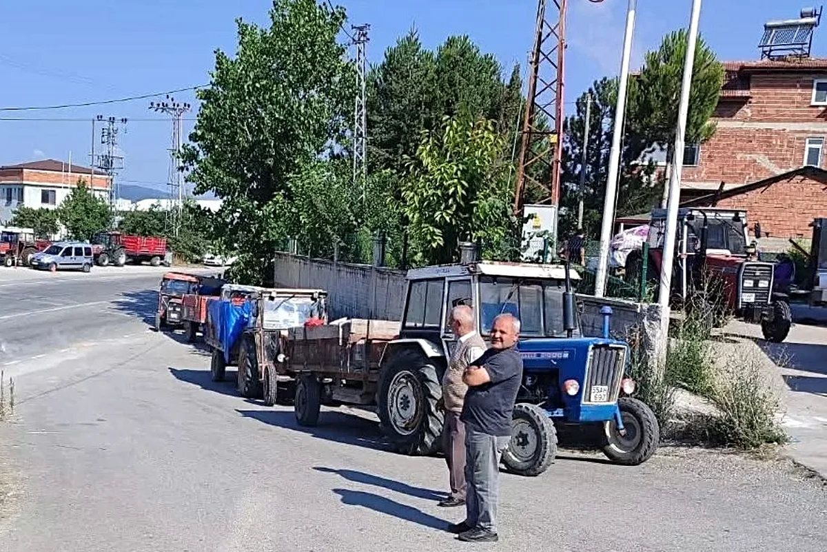 Samsun'un Kavak İlçesinde Toprak Mahsulleri Ofisi'nin Buğday Alım Süreci Tamamlandı